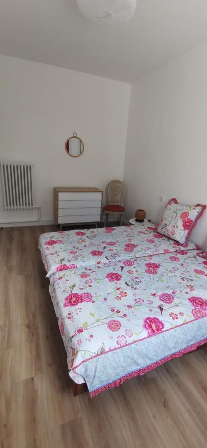 Appartement Jean Jaures Refait A Neuf Tours Eksteriør billede